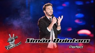 Simão Quintans  quotPerfectquot  Gala  The Voice Portugal [upl. by Luhe]