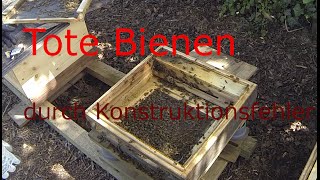 Tote Bienen wegen Beutefehler [upl. by Arutek]