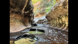 Zion NP  Canyon Overlook Subway and West Rim Trail  May 25 2024 [upl. by Ahearn]