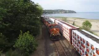 BNSF Freight Trains at Carkeek Park in Seattle Washington [upl. by Dehnel]