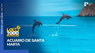 Acuario de Santa Marta ¿Dónde queda y qué se puede disfrutar allí  Canal 1 [upl. by Kcirredal]