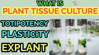 PLANT TISSUE CULTURE  WHAT IS PLANT TISSUE CULTURE [upl. by Adnalahs922]