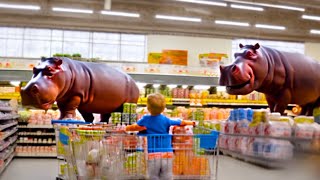 Avoid Dangerous Hippos Inside American Supermarkets [upl. by Favien]