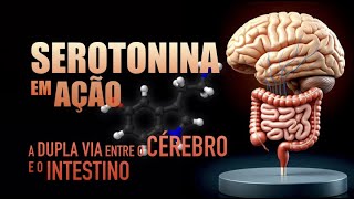 Serotonina o que você precisa saber sobre ela [upl. by Tortosa635]