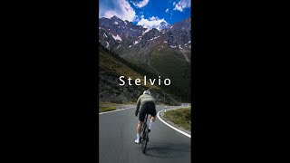 🇮🇹🚴🏻‍♂️Climbing the Stelvio [upl. by Ettelra]