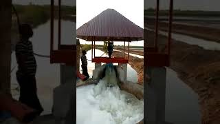 Feedback video on vertical axial flow pump for salty seawater large flow higher efficiency pump [upl. by Bury]