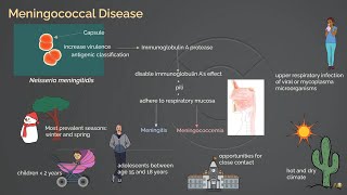 Meningococcal Infection [upl. by Rikahs926]