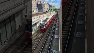 Straßenbahn Wien 2024 Tram Bim Tramwaj Trainspotting Öpnv [upl. by Tuddor]