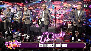 Grupo La Cápsula  Campechanitas Video Oficial [upl. by Hachman305]