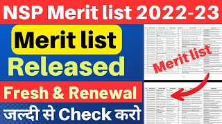 NSP Scholarship Merit list 202223 Released💥  How to Check Merit list 202223  Payment list Out🤑 [upl. by Yerffe900]