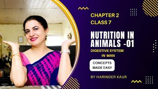 Nutrition in Animals  Digestive system in human beings  Chap 2  Class 7  CBSE  NCERT [upl. by Sitto]