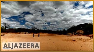 🇰🇪 earthrise  Fighting desertification in Kenya amp the remakery [upl. by Amalbena931]