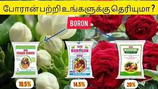 Boron  Micronutrient Fertilizer  Symptoms  Uses  Dose [upl. by Stoller535]