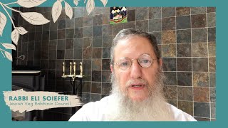 Your Vegan Seder Plate  Rabbi Eli Soiefer [upl. by Gaw]