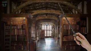 Hogwarts Library ASMR ⚡ Harry potter Ambience  Relaxing Page flipping amp Book sounds [upl. by Eilitan]