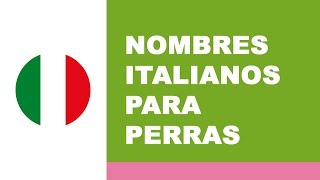 Nombres italianos para perras [upl. by Navap]