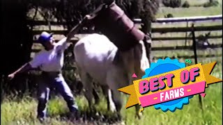 Best of AFV  Part 50  AFV Classics [upl. by Badr]