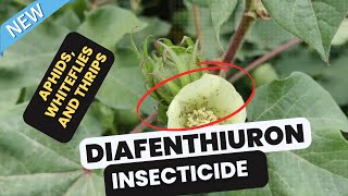 Diafenthiuron insecticide for lepidopteran larvae aphids whiteflies mites and thrips control [upl. by Evelc359]