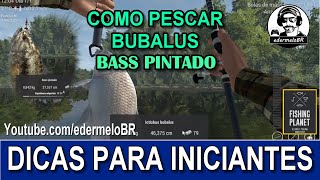 Como pescar Ictiobus Bubalus e Bass pintado no Lago Lone Star  Fishing Planet 🎣 [upl. by Willman]