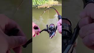 Mastering Fishing with Fiber Unique Technique for Catching Fish part 1 [upl. by Uah]