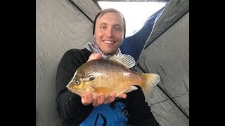 ICE FISHING FOR GIANT SOUTHERN IOWA FARM POND BLUEGILL [upl. by Ayiotal414]