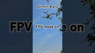 Fpv mode Dji mini 4 pro drone DJI dji shorts djimini4pro dji4 mini4pro diydrone fpv avata [upl. by Verina]