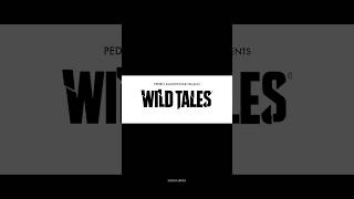 Wild Tales 2014  Harsh Arora talks shorts [upl. by Cony]