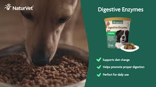 NaturVet Digestive Aids for Dogs [upl. by Annaiel]