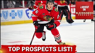 Chicago Blackhawks Summer 2024 Top Prospects List Part 2  Michael Hages Draft Profile [upl. by Melesa]