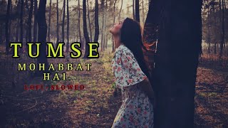 Tumse Mohabbat Hai Slowed Reverb [upl. by Eelta952]