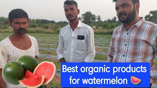 Best organic products for watermelon organic organicfarming watermelon addshop [upl. by Edee]