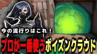 【ネストだけじゃない】ブリーズでヴァイパー使うならぜひ覚えておきたい！攻めのミッド取りに必須のポイズンクラウドの定点を解説！【Valorant  ヴァロラント】 [upl. by Esinereb]