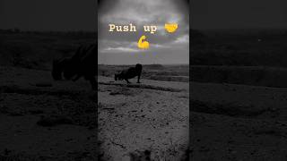 Push up 💪🤝shorts ytshorts [upl. by Giuditta]