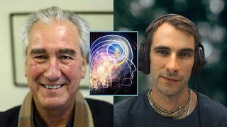 Discussion with David Papineau on Physicalism Dualism and the Hard Problem of Conciousness [upl. by Akimet]