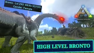 TAMING A SUPER HIGH LEVEL BRONTO 🦕  ARK Mobile Old Version [upl. by Analat973]