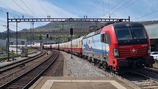 SBBCI Vectron mit AKE RheingoldExpress in Olten Hammer [upl. by Anirtal703]