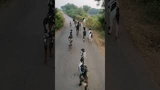 Boking timefull masti shot video  viral [upl. by Ayekam]