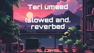 Teri umeed songslowed and reverbed ❤️❤️❤️🔥🔥🔥🔥slowedandreverb [upl. by Araz]