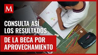 Así puedes revisar los resultados para la Beca de Aprovechamiento Académico Edomex 2024 [upl. by Nyrak549]