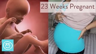 23 Weeks Pregnant What You Need To Know  Channel Mum [upl. by Rodge]