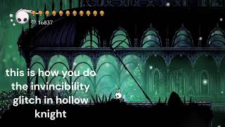 hollow knight invincibility glitch you will take no damagecheese the game [upl. by Callahan]