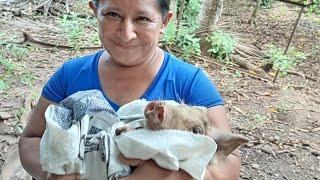 Doña Dominga por primera vez en jabalín visitando a Vicente Guarcas 🤔🤔😱😱 [upl. by Friedland]