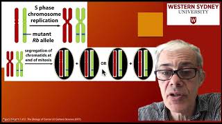 34 Loss of heterozygosity LOH [upl. by Lody]