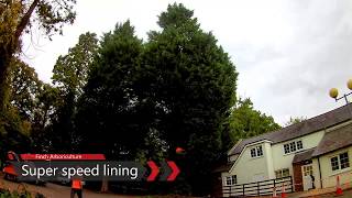 Super speed lining  Conifer tree removal [upl. by Netniuq]