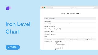 Iron Levels Chart [upl. by Acinoj11]