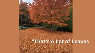 Leaf Mulching Winter Yard Prep Made Easy [upl. by Enaitsirk15]