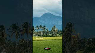 Amazing view Tamil Nadu tamilsong [upl. by Siddon]