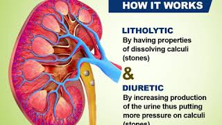 How Warstone works on Kidney Stones [upl. by Madea]