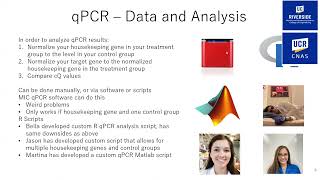 qPCR with SYBR Green and Magnetic Induction Cycler MIC [upl. by Krever]