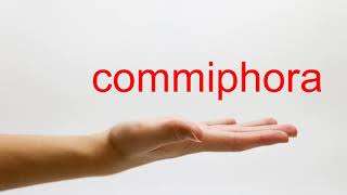 How to Pronounce commiphora  American English [upl. by Idas]